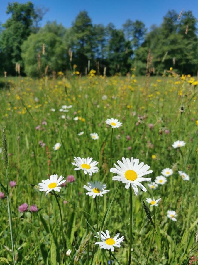 Landhotel Oelmuehle Mombris Kültér fotó